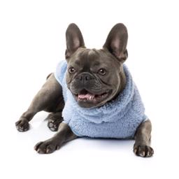 Fuzzyard Turtle Teddy Washed Blue Den Berømte Hoodie 